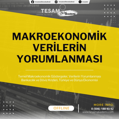 MAKROEKONOMİK VERİLERİN YORUMLANMASI